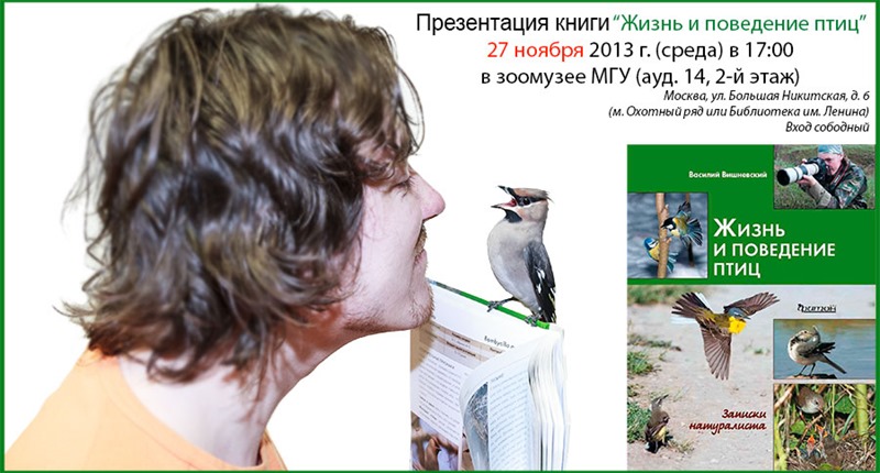 Life and behavior of birds