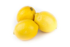 Citrus_limon_2010_0202_1625