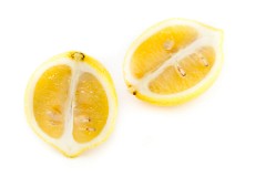 Citrus_limon_2010_0202_1709