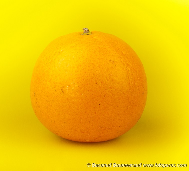 Citrus_reticulata_2010_0202_1650.jpg - Фрукты сфотографированные на желтом фоне. One orange tangerine on a yellow background.