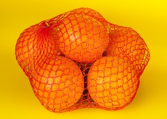 Citrus_sinensis_2010_0202_1558