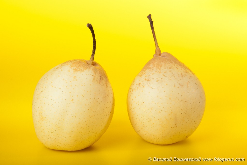 Pyrus_communis_2010_0202_1522.jpg - Фрукты сфотографированные на желтом фоне. Fruit photographed on a yellow background with a gradient.