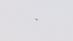 Falco_amurensis_2024_0606_AO4