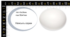 collection_eggs_Strix_aluco201009271444