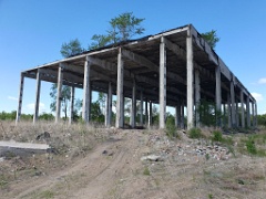 nest240530-1k_Hirundo_daurica_2024_0530_1043