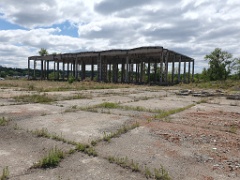 nest240530-1k_Hirundo_daurica_2024_0530_1201