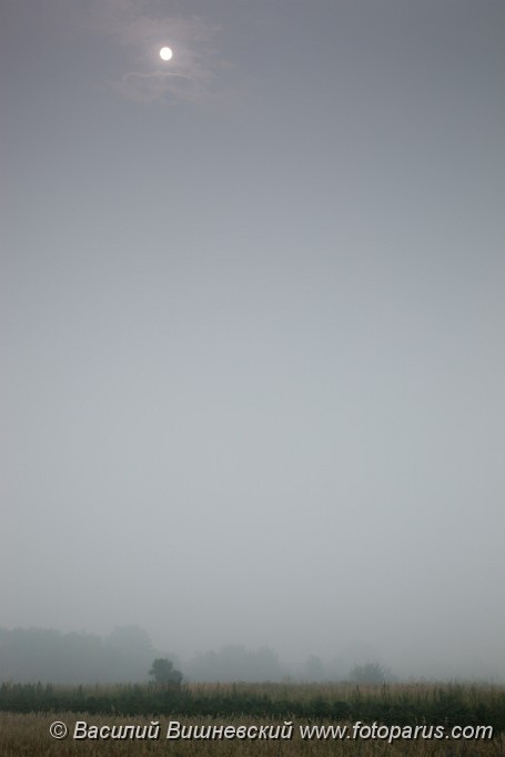 Fog_2010_0731_0901.jpg - Рязанская область, Пронский район, окрестности деревни Денисово. Russia, The Ryazan region. Landscape with smoke from burning woods.