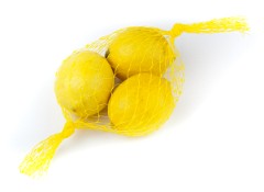1_tree_Citrus_limon